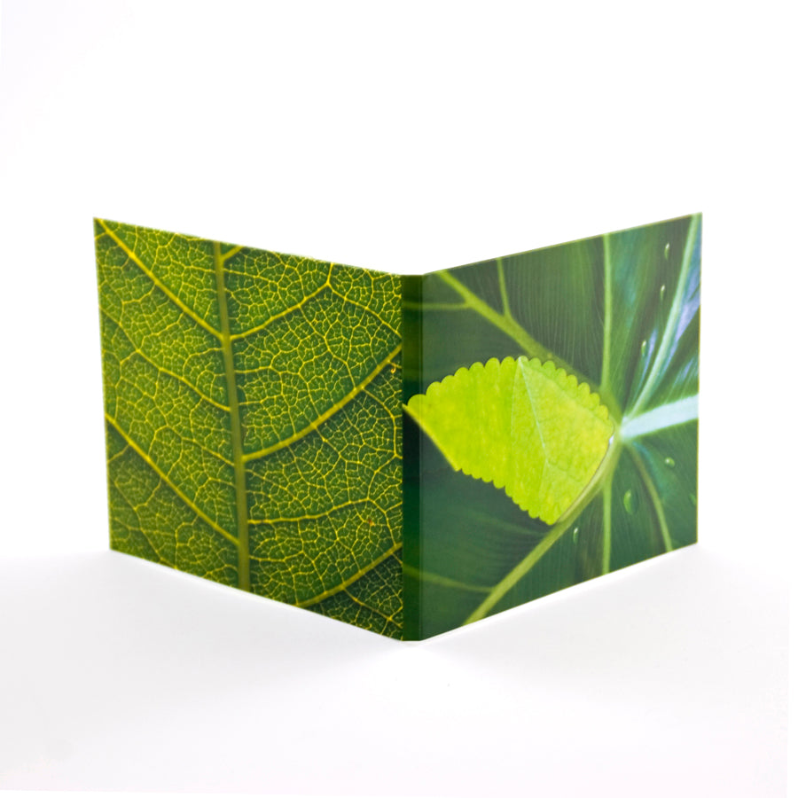 Credit Card USB + USB Digipack