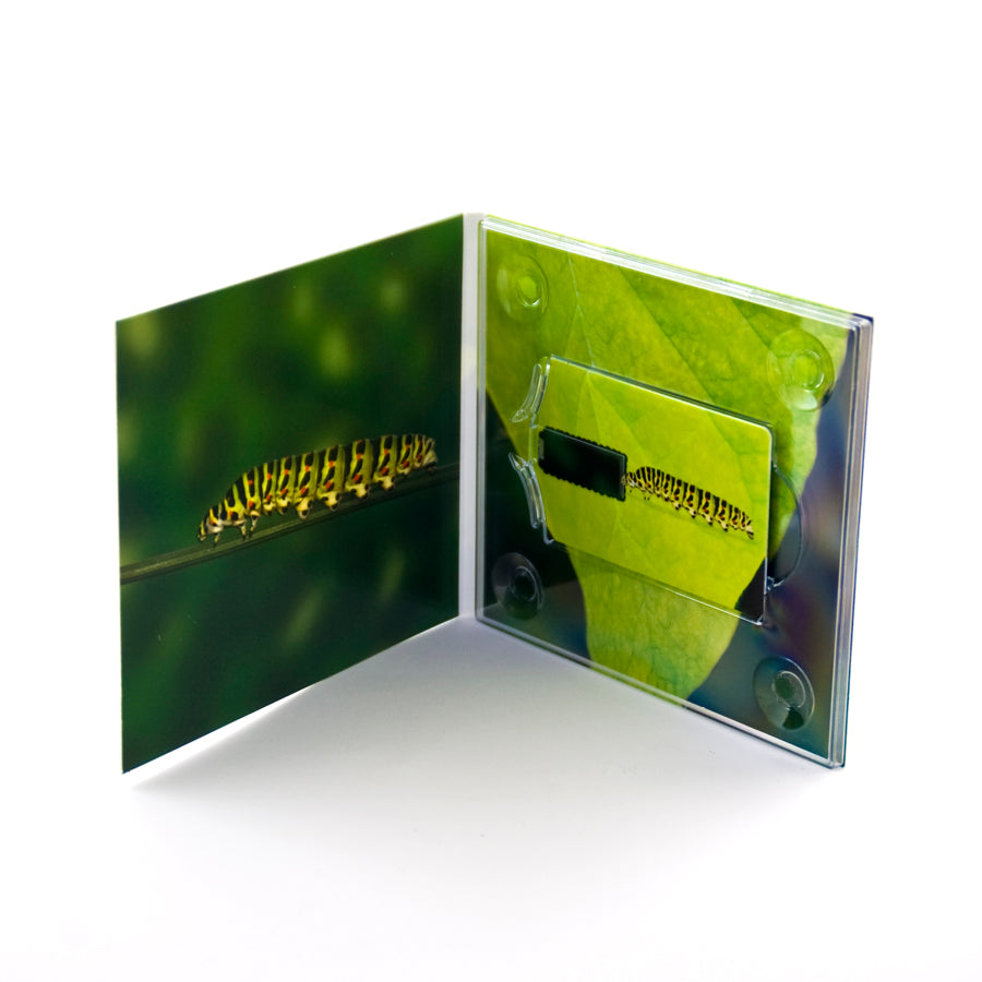 Credit Card USB + USB Digipack