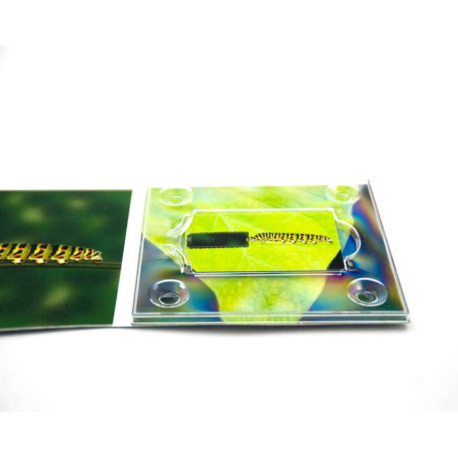 Credit Card USB + USB Digipack